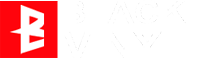 Black Vinyl